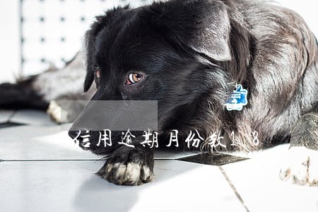 信用逾期月份数18 信用逾期月份数18