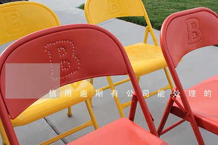 信用逾期有公司能处理的吗 信用逾期有公司能处理的吗
