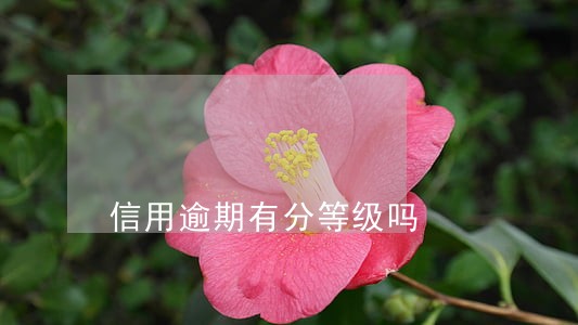 信用逾期有分等级吗 信用逾期有分等级吗