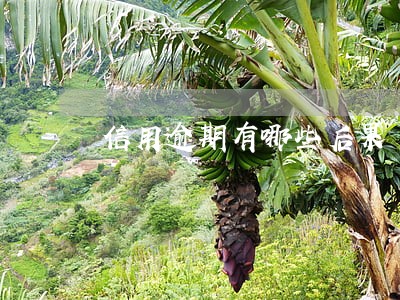 信用逾期有哪些后果 信用逾期有哪些后果