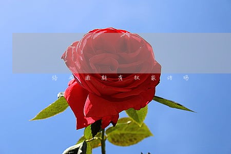 信用逾期有权家访吗 信用逾期有权家访吗