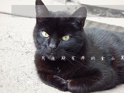 信用逾期有滞纳金么算 信用逾期有滞纳金么算