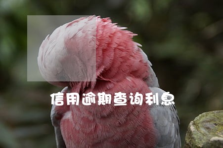 信用逾期查询利息 信用逾期查询利息