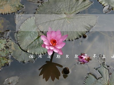 信用逾期欠款还不上该怎么办 信用逾期欠款还不上该怎么办