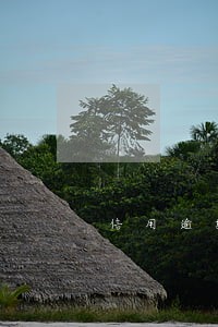 信用逾期次数会消掉吗 信用逾期次数会消掉吗