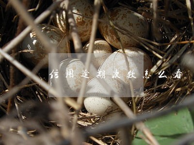 信用逾期次数怎么看 信用逾期次数怎么看
