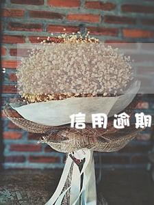 信用逾期次数计算 信用逾期次数计算