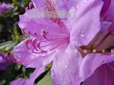 信用逾期民生信用卡能办吗 信用逾期民生信用卡能办吗