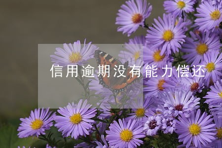 信用逾期没有能力偿还 信用逾期没有能力偿还