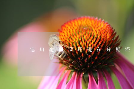 信用逾期没还现在分期还可以吗 信用逾期没还现在分期还可以吗