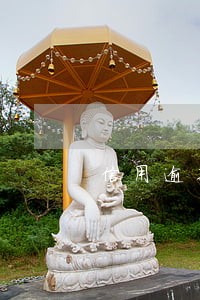 信用逾期没钱还怎么办