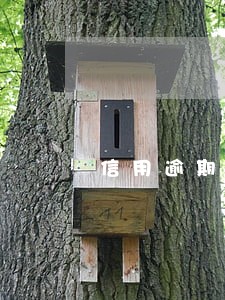 信用逾期法务咨询 信用逾期法务咨询