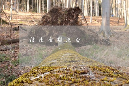 信用逾期洗白 信用逾期洗白