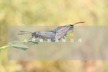 信用逾期消除公司 信用逾期消除公司