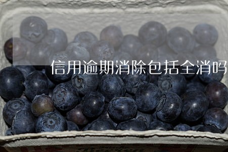 信用逾期消除包括全消吗 信用逾期消除包括全消吗