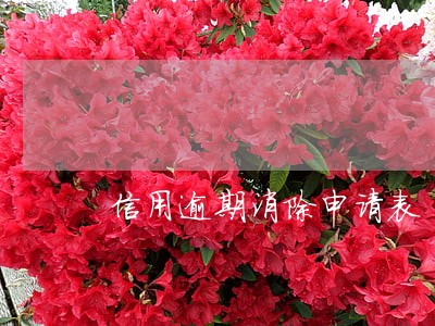 信用逾期消除申请表 信用逾期消除申请表