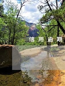 信用逾期申请停息还款