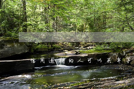信用逾期的人可以买车子吗 信用逾期的人可以买车子吗