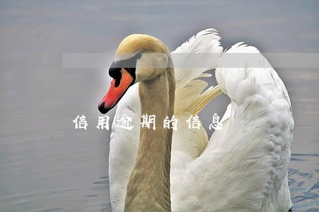 信用逾期的信息 信用逾期的信息