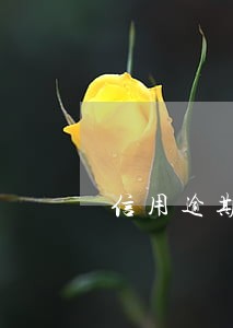 信用逾期的数额