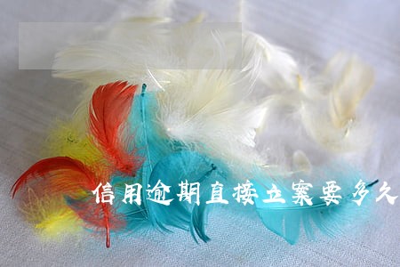 信用逾期直接立案要多久 信用逾期直接立案要多久
