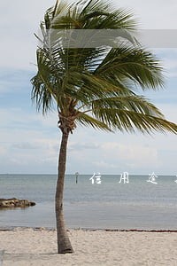 信用逾期看两年 信用逾期看两年