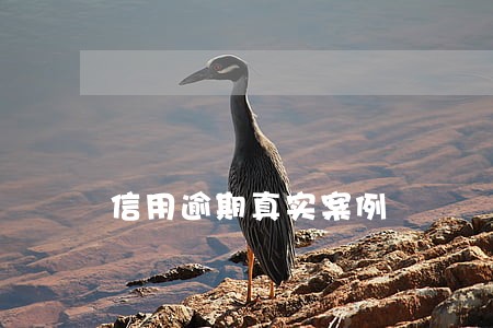 信用逾期真实案例 信用逾期真实案例
