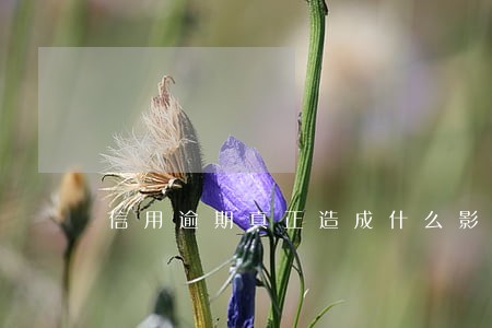 信用逾期真正造成什么影响