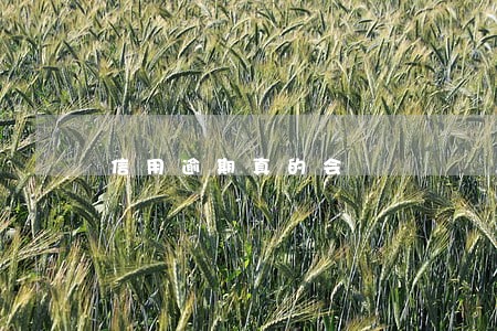 信用逾期真的会