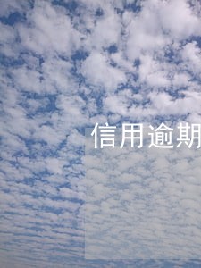 信用逾期短信和违约通告短信 信用逾期短信和违约通告短信