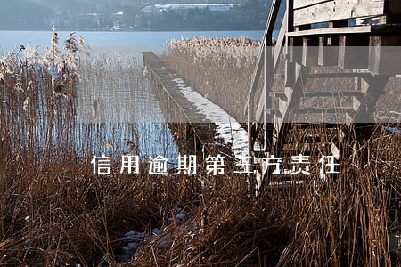 信用逾期第三方责任 信用逾期第三方责任