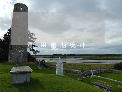 信用逾期统计