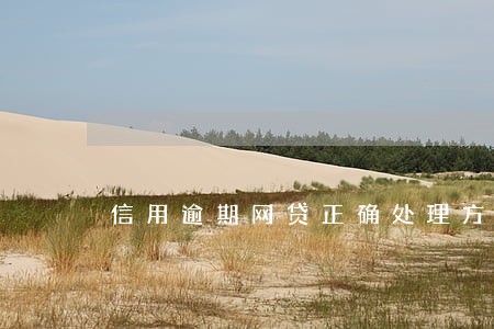 信用逾期网贷正确处理方案 信用逾期网贷正确处理方案