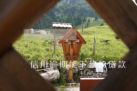 信用逾期能下款的贷款 信用逾期能下款的贷款