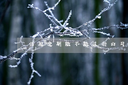 信用逾期能不能注册公司 信用逾期能不能注册公司