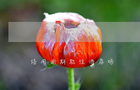 信用逾期能住酒店吗 信用逾期能住酒店吗