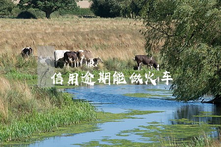 信用逾期能做火车 信用逾期能做火车