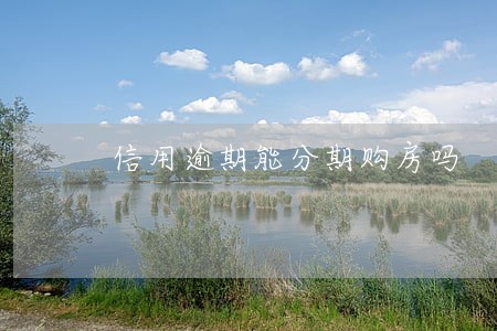 信用逾期能分期购房吗 信用逾期能分期购房吗
