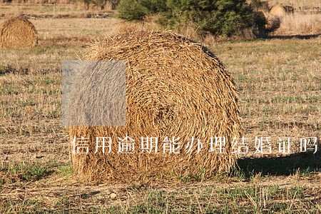 信用逾期能办理结婚证吗 信用逾期能办理结婚证吗
