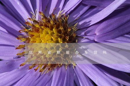 信用逾期能办车贷吗 信用逾期能办车贷吗