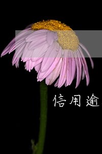 信用逾期能取公积金贷款吗 信用逾期能取公积金贷款吗