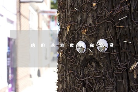 信用逾期能否在借贷 信用逾期能否在借贷