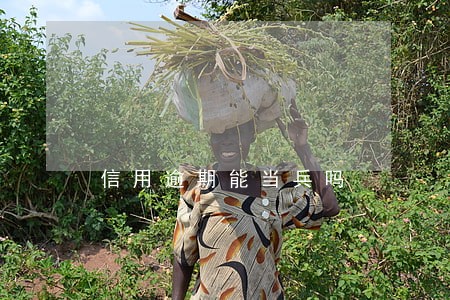 信用逾期能当兵吗