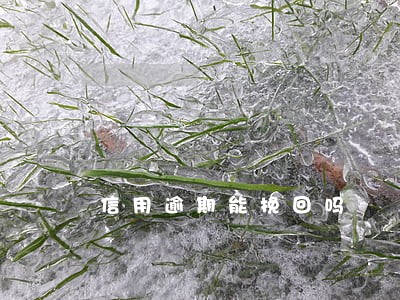信用逾期能挽回吗 信用逾期能挽回吗