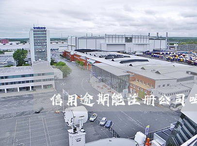 信用逾期能注册公司吗 信用逾期能注册公司吗