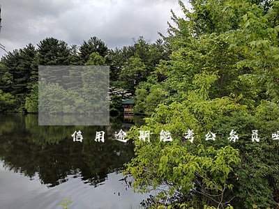 信用逾期能考公务员吗 信用逾期能考公务员吗