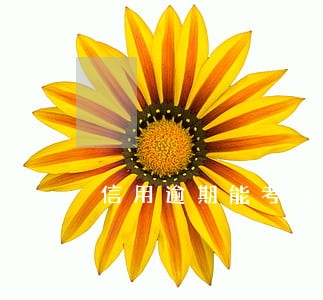 信用逾期能考驾照吗 信用逾期能考驾照吗