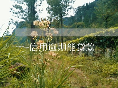 信用逾期能贷款 信用逾期能贷款