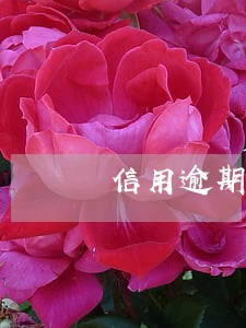 信用逾期虚假联系人 信用逾期虚假联系人