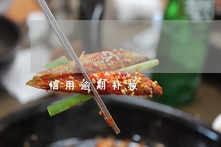 信用逾期补救 信用逾期补救